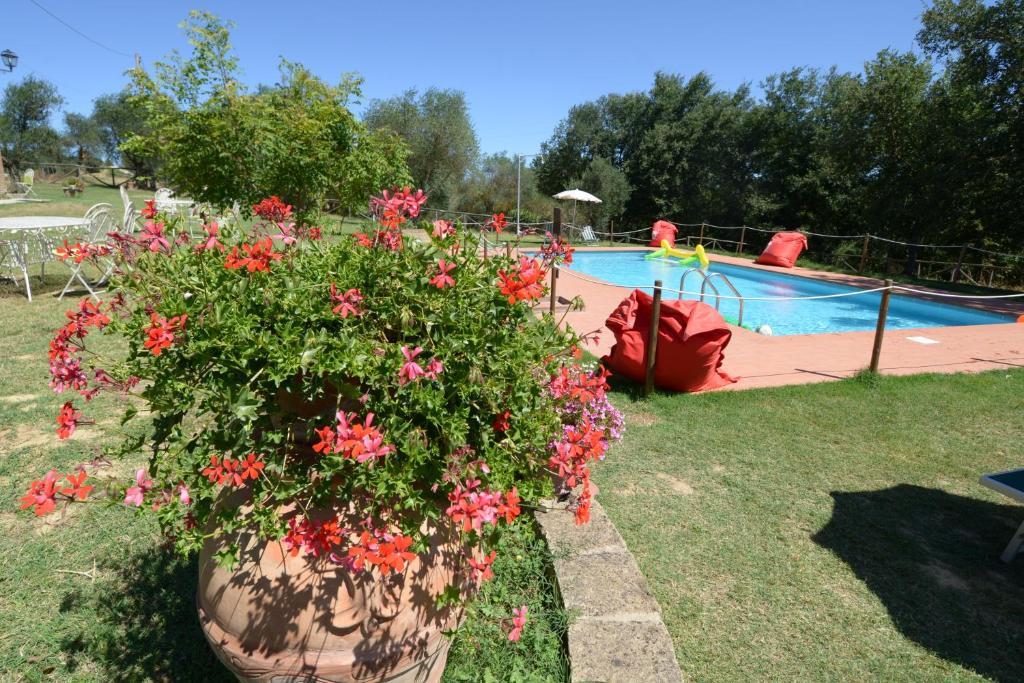 Agriturismi Farina كاستيغليون ديل لاغو المظهر الخارجي الصورة
