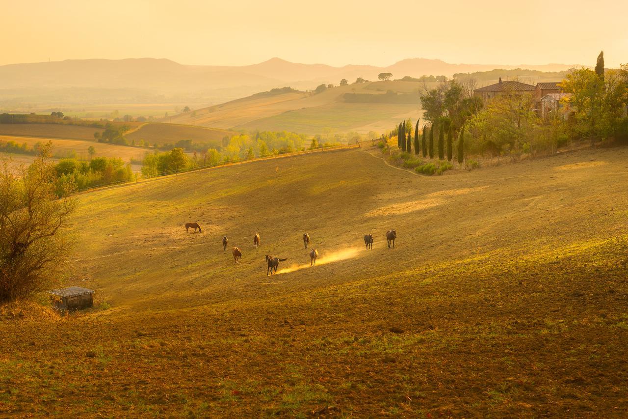 Agriturismi Farina كاستيغليون ديل لاغو المظهر الخارجي الصورة